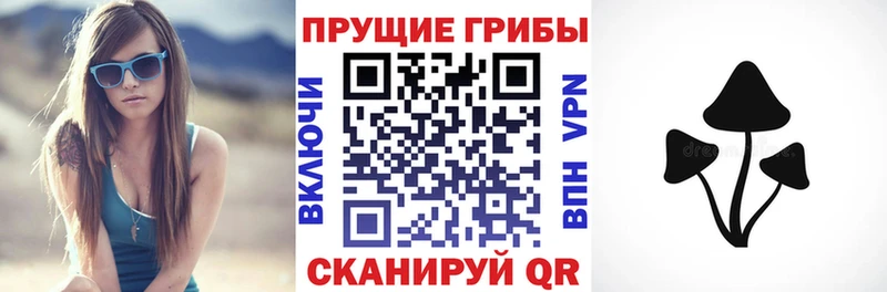 Галлюциногенные грибы Cubensis Енисейск